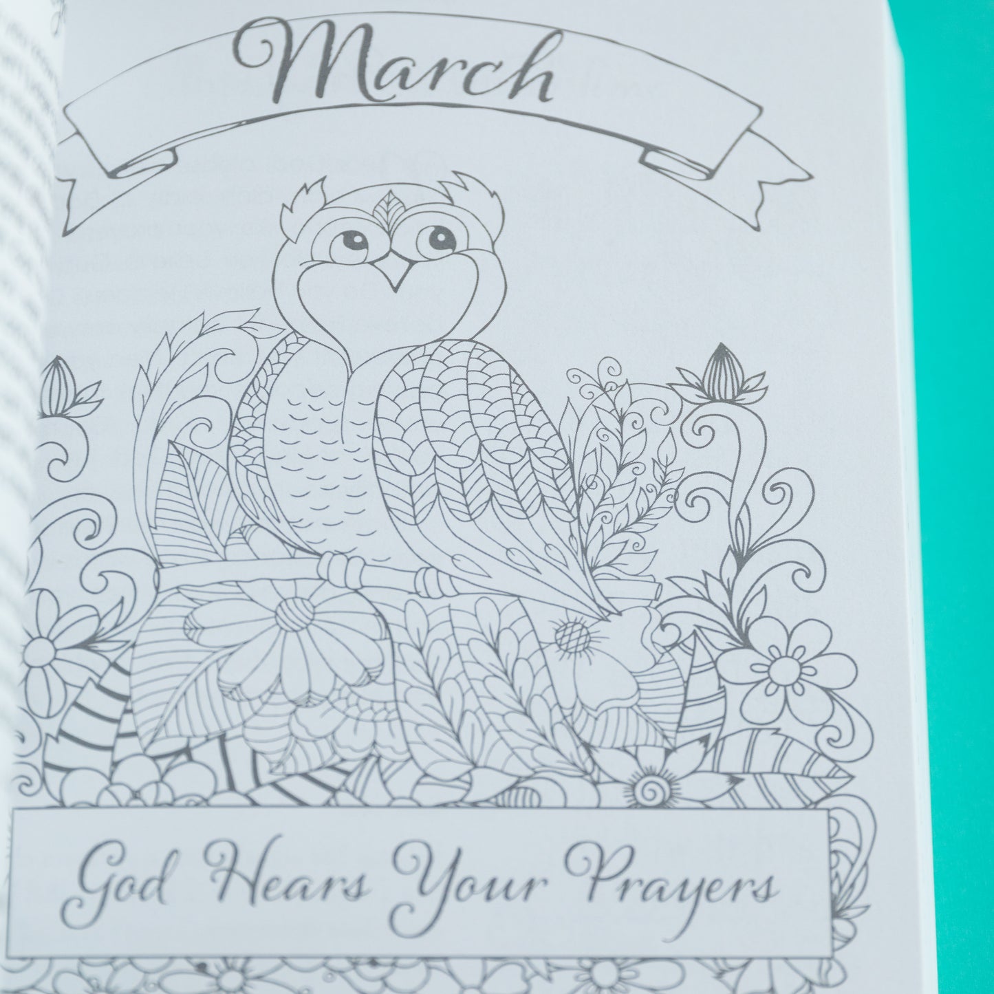 Illustrated Devotional Book for Girls -