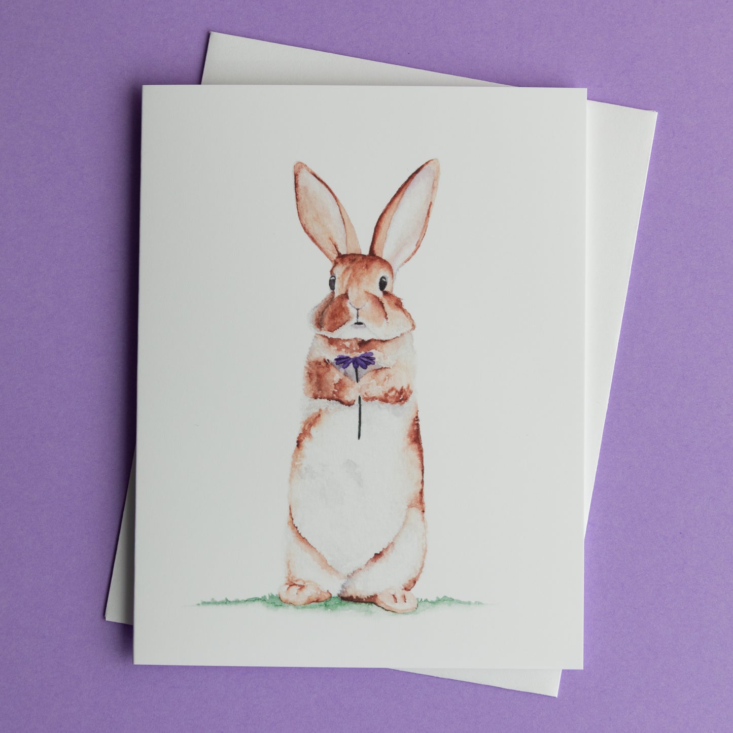Spring Bunny Greeting Card