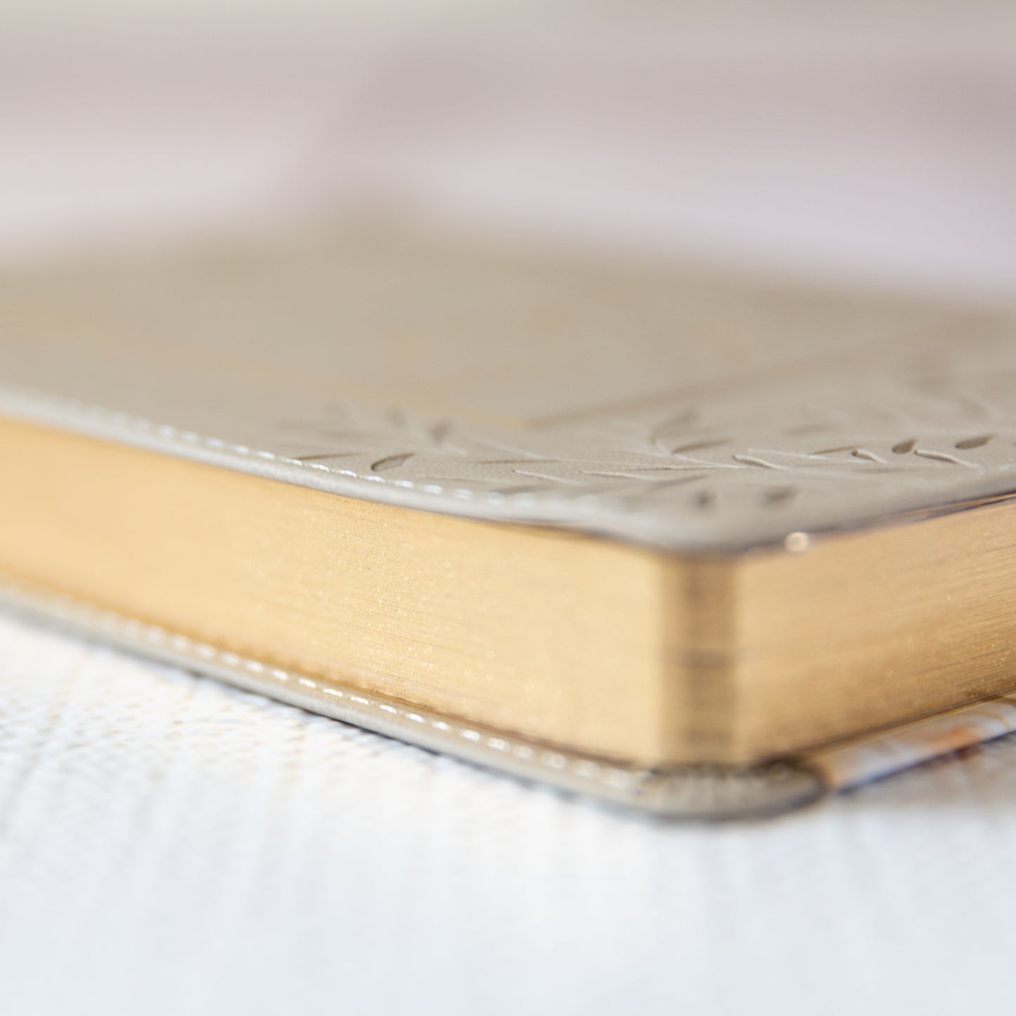 Devotional, My Quiet Time, Faux Leather, Soft Cover