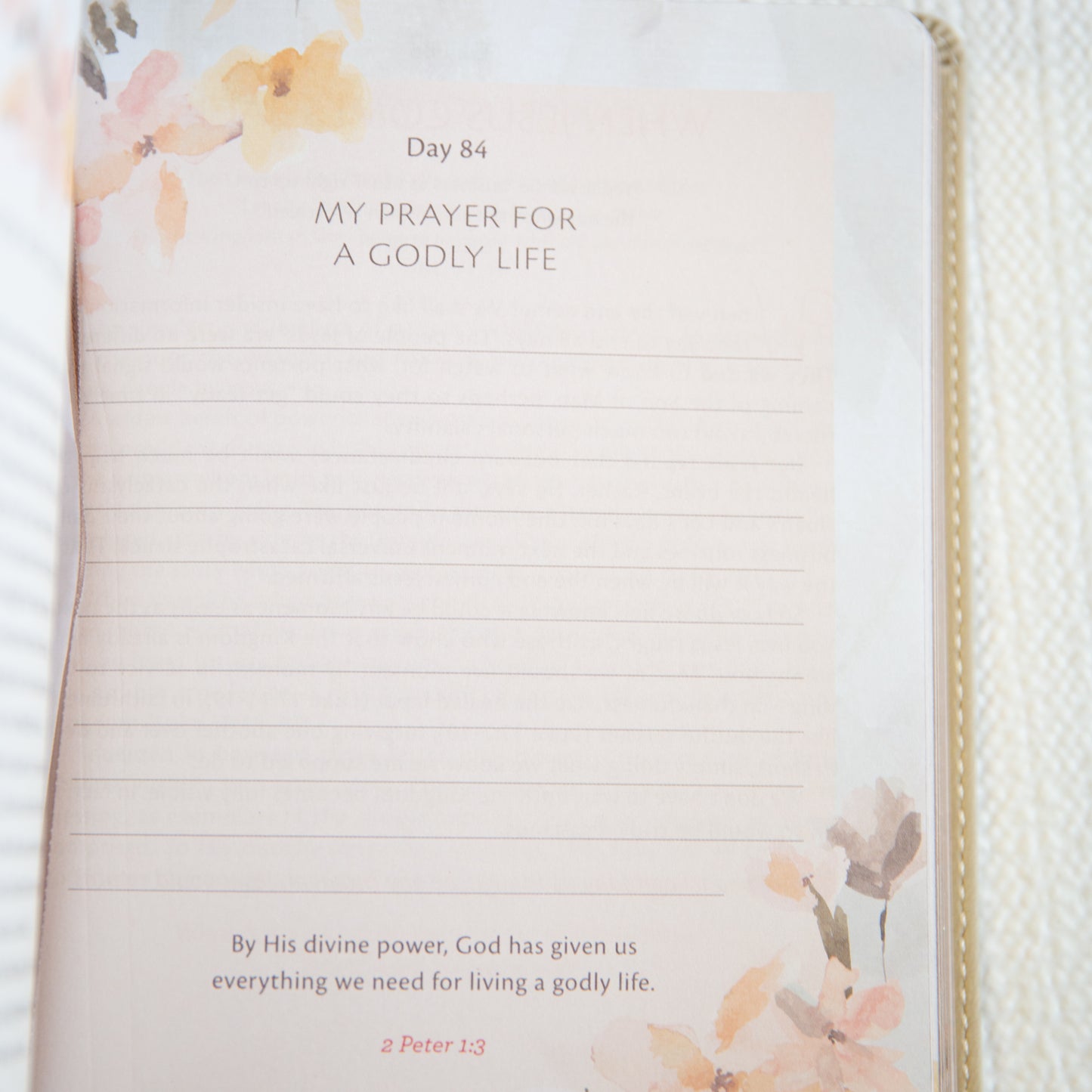 Devotional, My Quiet Time, Faux Leather, Soft Cover
