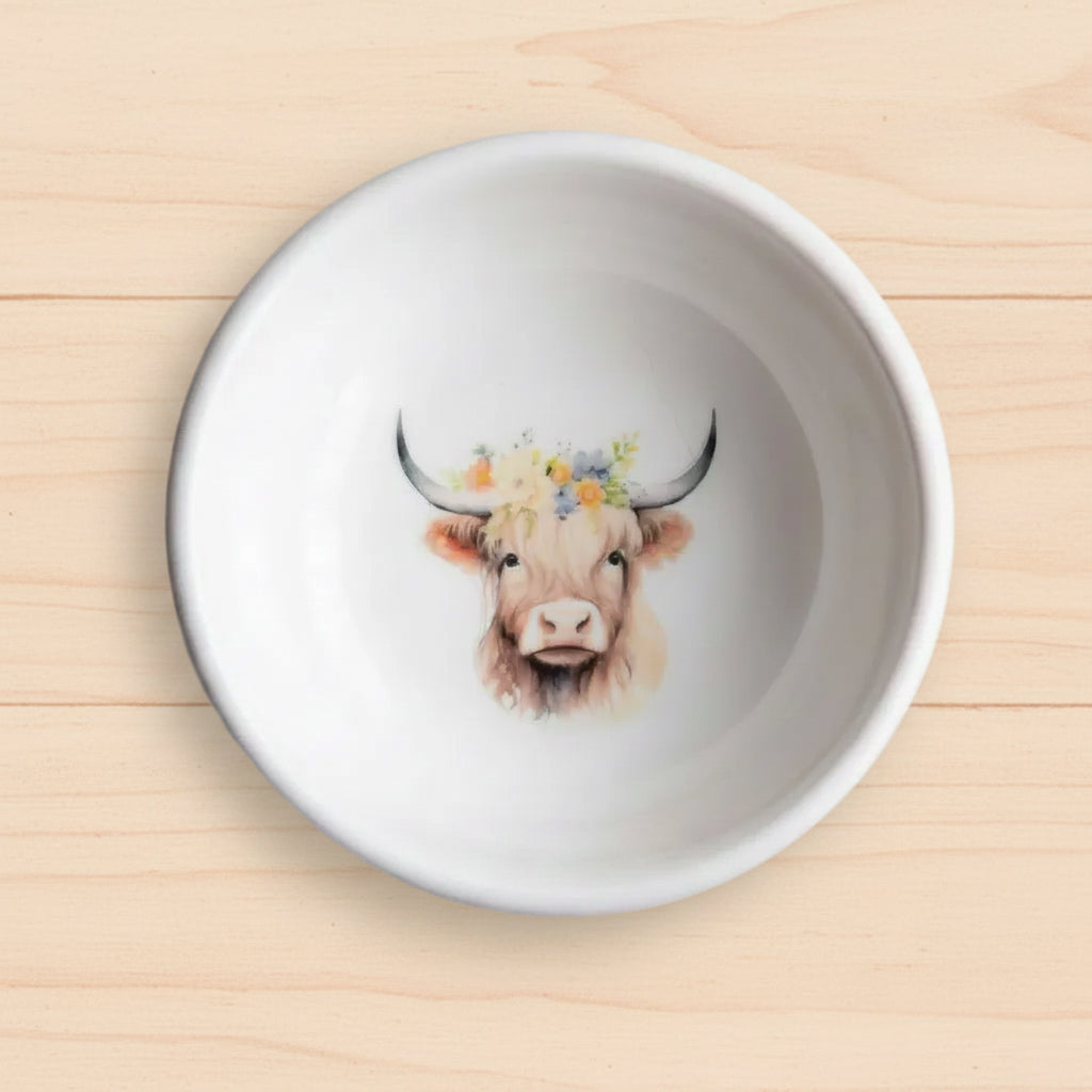 Hand Painted Ceramic Jewelry Trinket Dish – Fun & Personality Designs