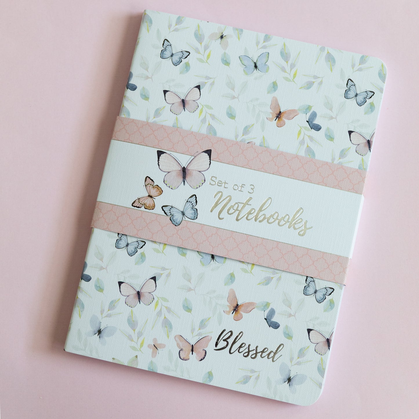 Butterfly Blessed Journal Set of 3 — Lined Notebooks | John 1:16