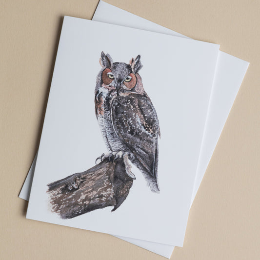 Hand Painted Owl Design Folded Greeting Card