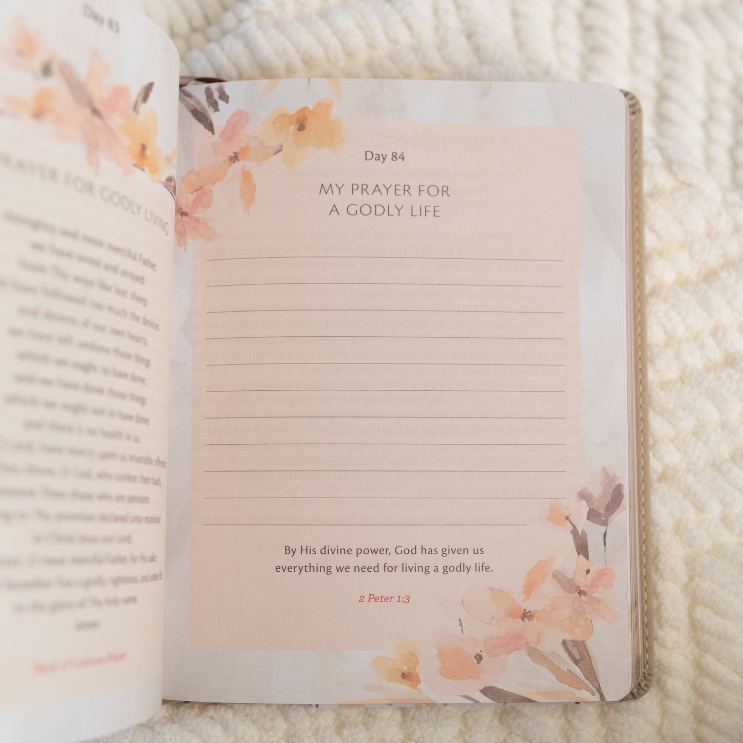 My Quiet Time – 365-Day Devotional for Teen Girls & Women | Sage Faux Leather Softcover