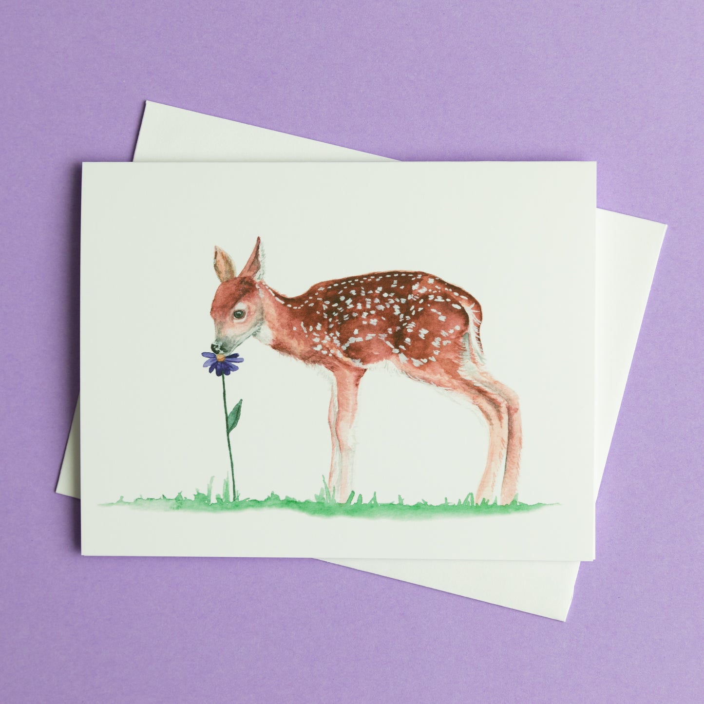 Spring & Easter Theme - Choose Your Design