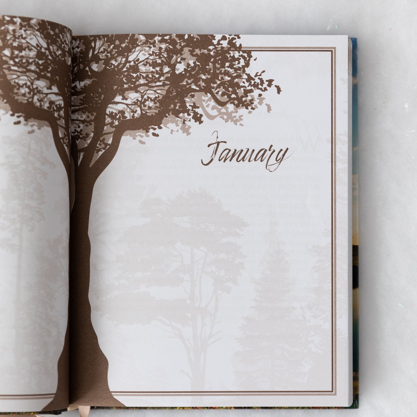 Rooted in Faith – One Year Daily Devotional Hardcover