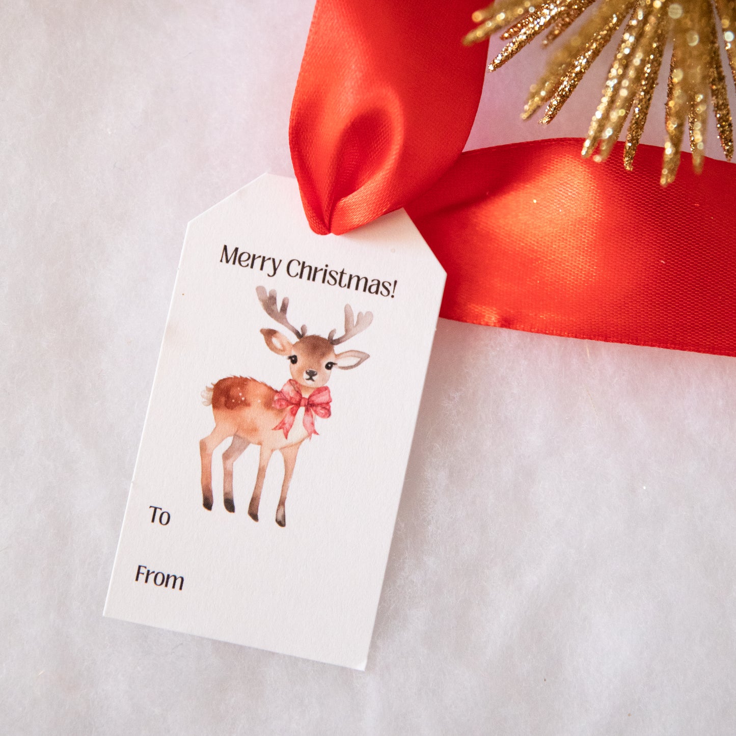 Festive Holiday Gift Tags 2x3.5" Set of 10