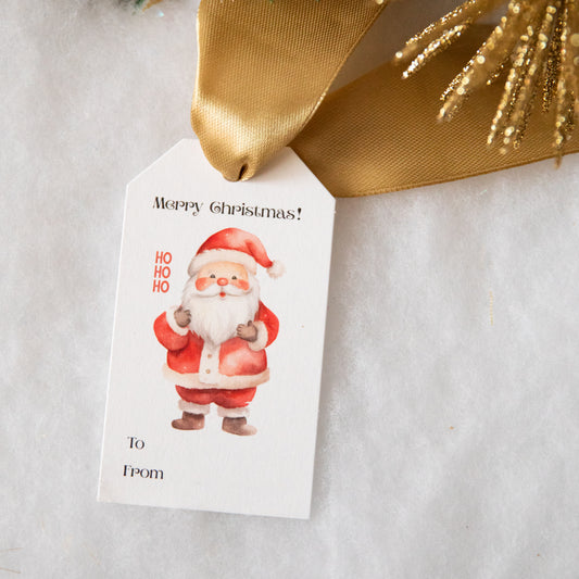 Festive Holiday Gift Tags 2x3.5" Set of 10