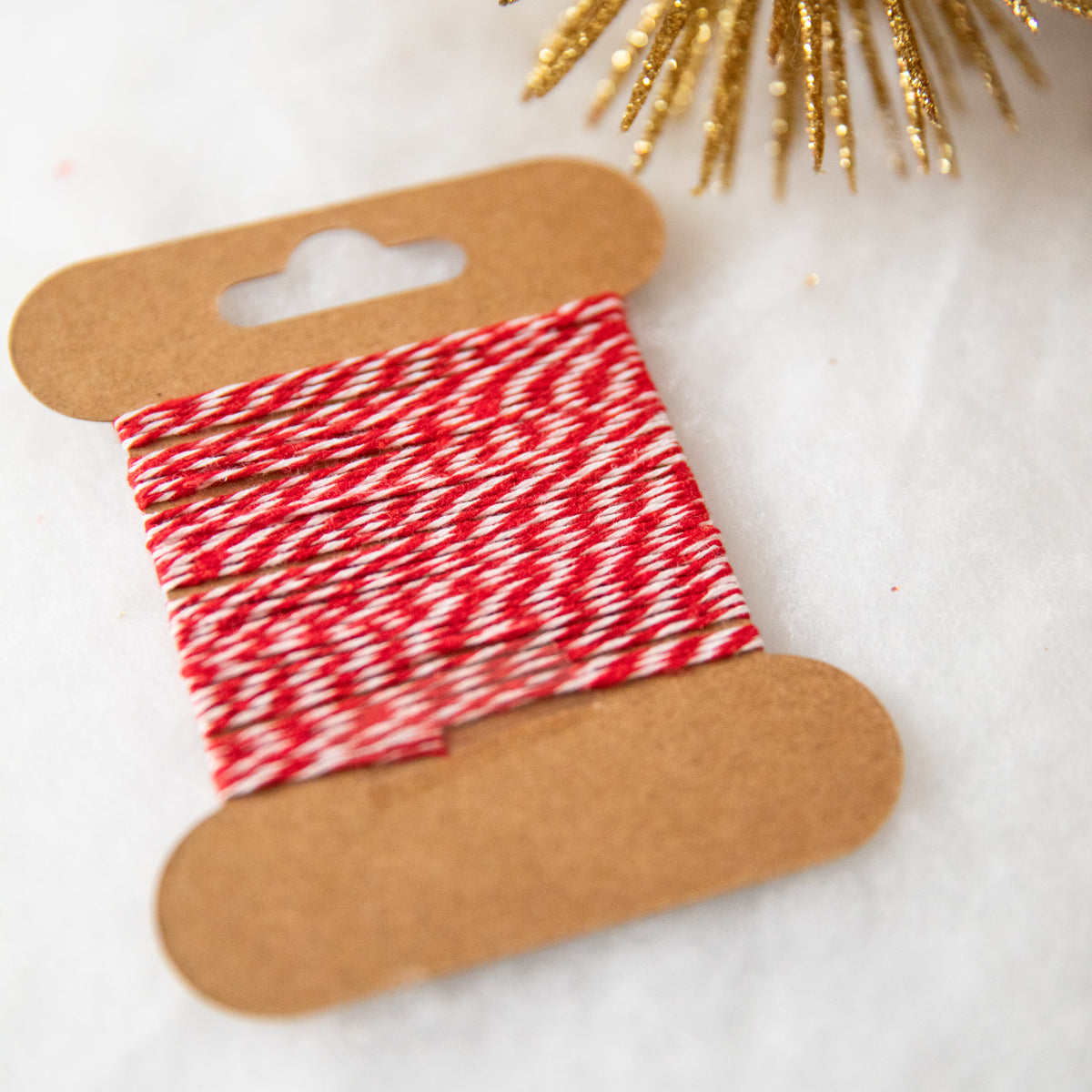 Christmas ASSORTED 10 PACK Gift Tags- 2x3.5" *SALE!!