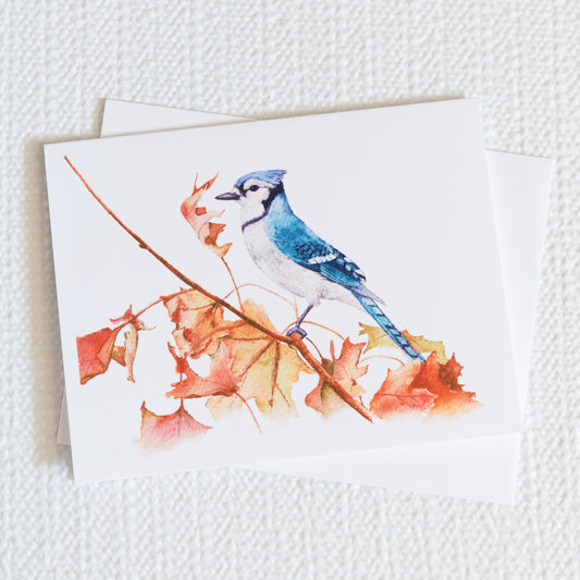 Bird, Hand Painted Greeting Card, Blue Jay, Fall Stationery
