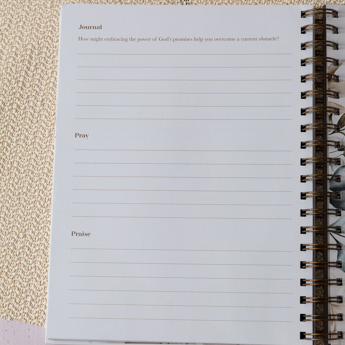 Praying the Promises of God - A 52 Week Guided Prayer Journal Hard Cover