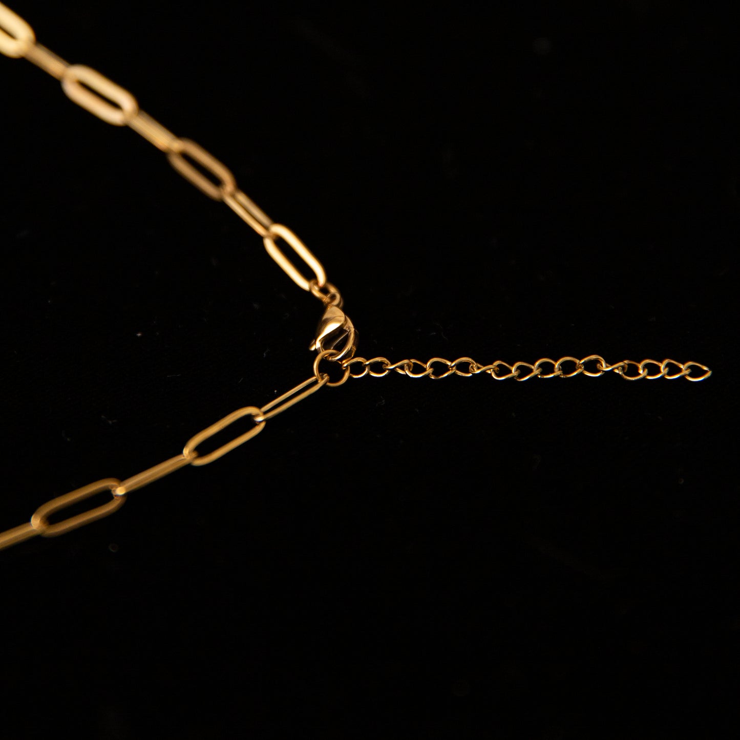 Stainless Steel Paper Clip Carabiner 20" +2" GOLD & SILVER