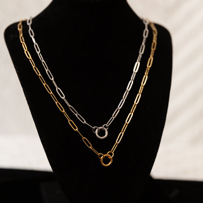 Stainless Steel Paper Clip Carabiner 20" +2" GOLD & SILVER