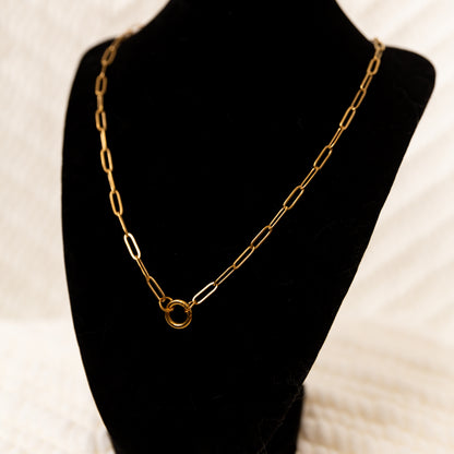 Stainless Steel Paper Clip Carabiner 20" +2" GOLD & SILVER