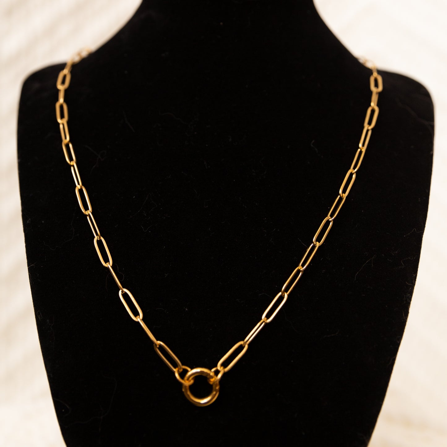 Stainless Steel Paper Clip Carabiner 20" +2" GOLD & SILVER