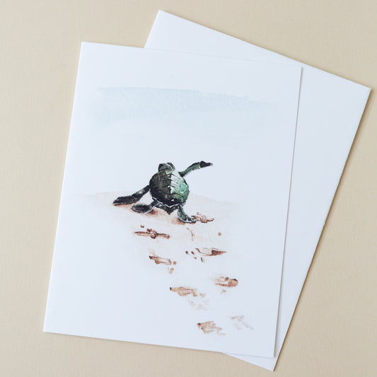 Beach Theme, Baby Sea Turtle Walking, on Sand, Summer, Greeting Card